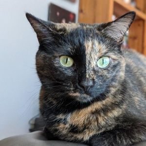 Meet your Posher, Steve